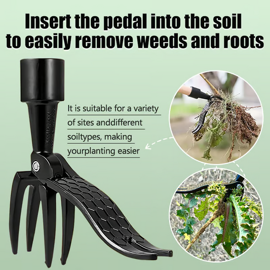 💥LAST DAY SALE 49% OFF🔥-Detachable Stand Up Weed Puller